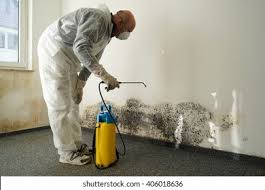 Why You Should Choose Our Mold Remediation Services in South Amboy, NJ